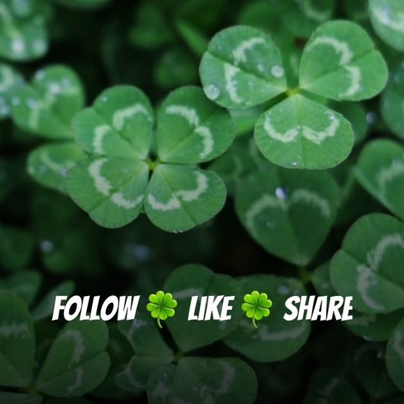 Thank you all Follow New Game This one is ending. - Picture 8 of 10